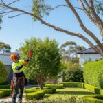 How Tree Pruning Improves Safety and Curb Appeal in Sydney