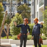Why Sydney Property Managers Use Arborist Services