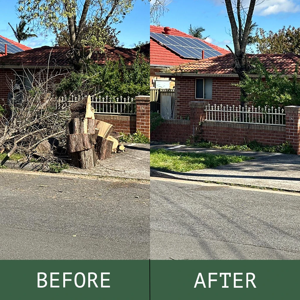 Before and after photo of tree removal
