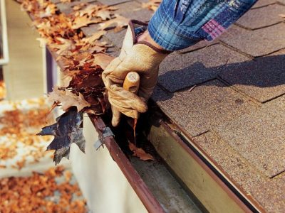 gutter cleaning