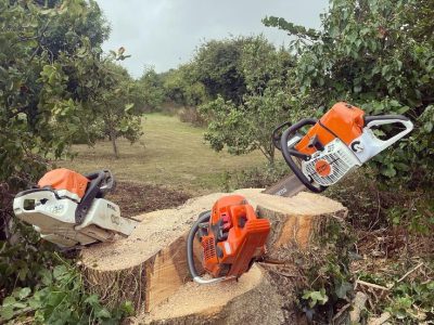 tree services, tree service, tree removal, certified arborists, tree trimming, tree service tree, tree service company, tree care, see portfolio, stump removal, tree removal services, stump grinding, cost guides, twin cities, relevant content, related service offering, popular services, free estimate, lawn care services, related cost guides, land clearing, property owners, lawn services, removal services, free consultation, tree planting, local tree services, maintenance stump removal, inc. yelp, related marks, Woodbridge, Lake Ridge, Agnewville, Dale City, Occoquan Historic District, Colchester, Marumsco, Eagle Pointe, Montclair, Minnieville, Hoadly, Lorton, Dumfries, Triangle